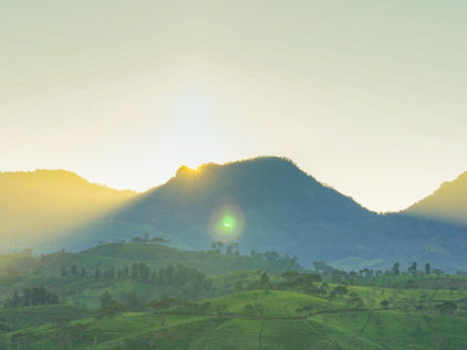 Die Freude der Einsicht