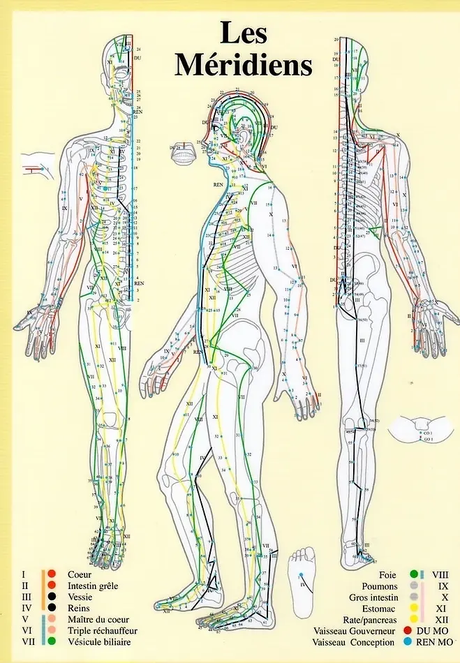 méridiens_gillesguiffault_fr 1.webp