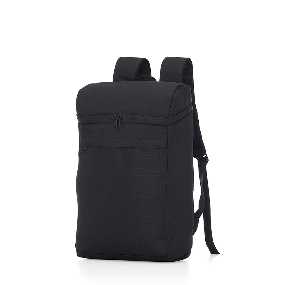 Miniatura: Mochila Térmica 17L 14704