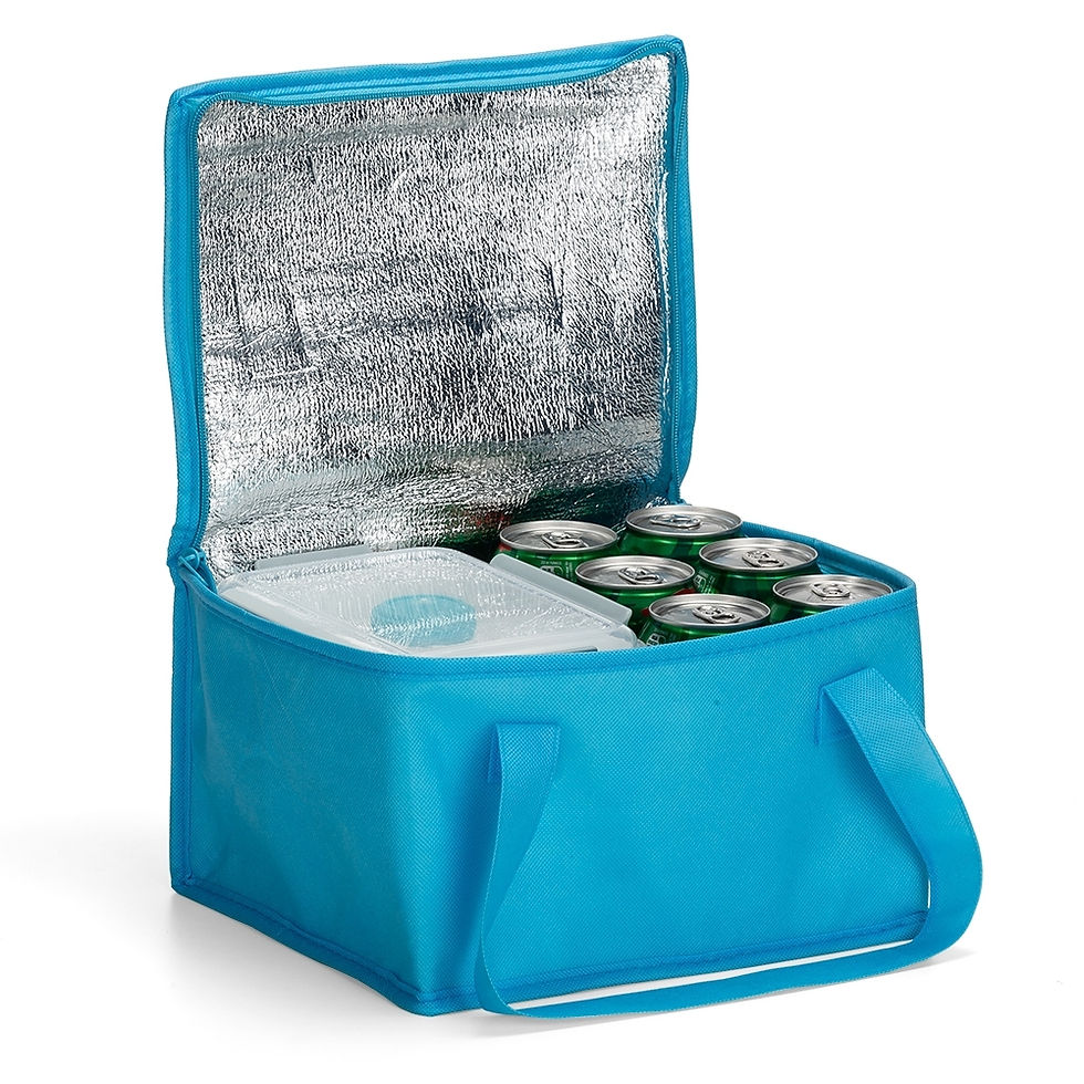 Miniatura: Bolsa Térmica 10 Litros 18523