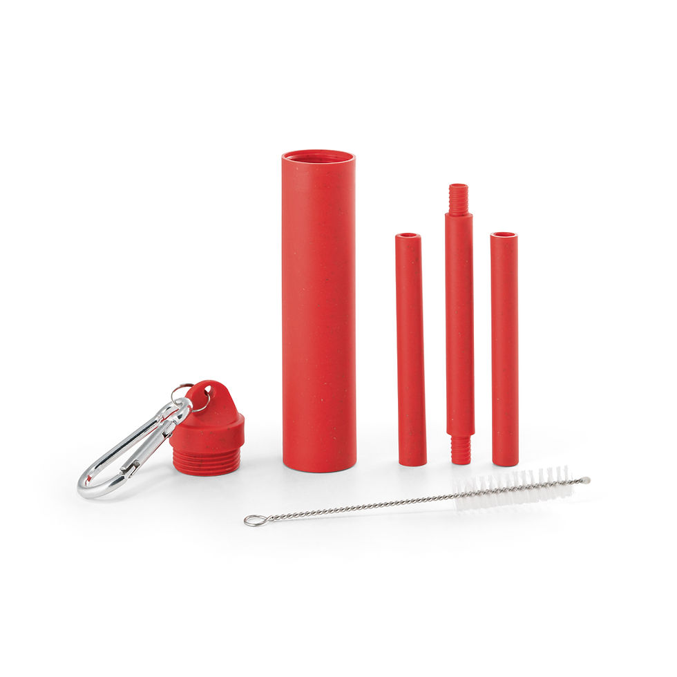 Miniatura: Canudo Fibra de Bambu - 94056