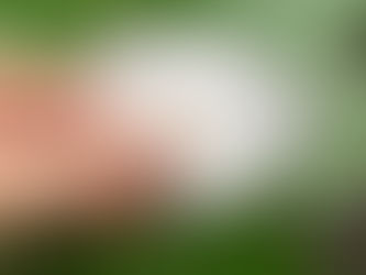 How We Make Our Stickers, and How You Can Make Your Own!