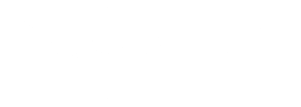 _A250PA Nonprofit RGB-03.png