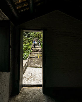 IMG_7860_edited.jpg