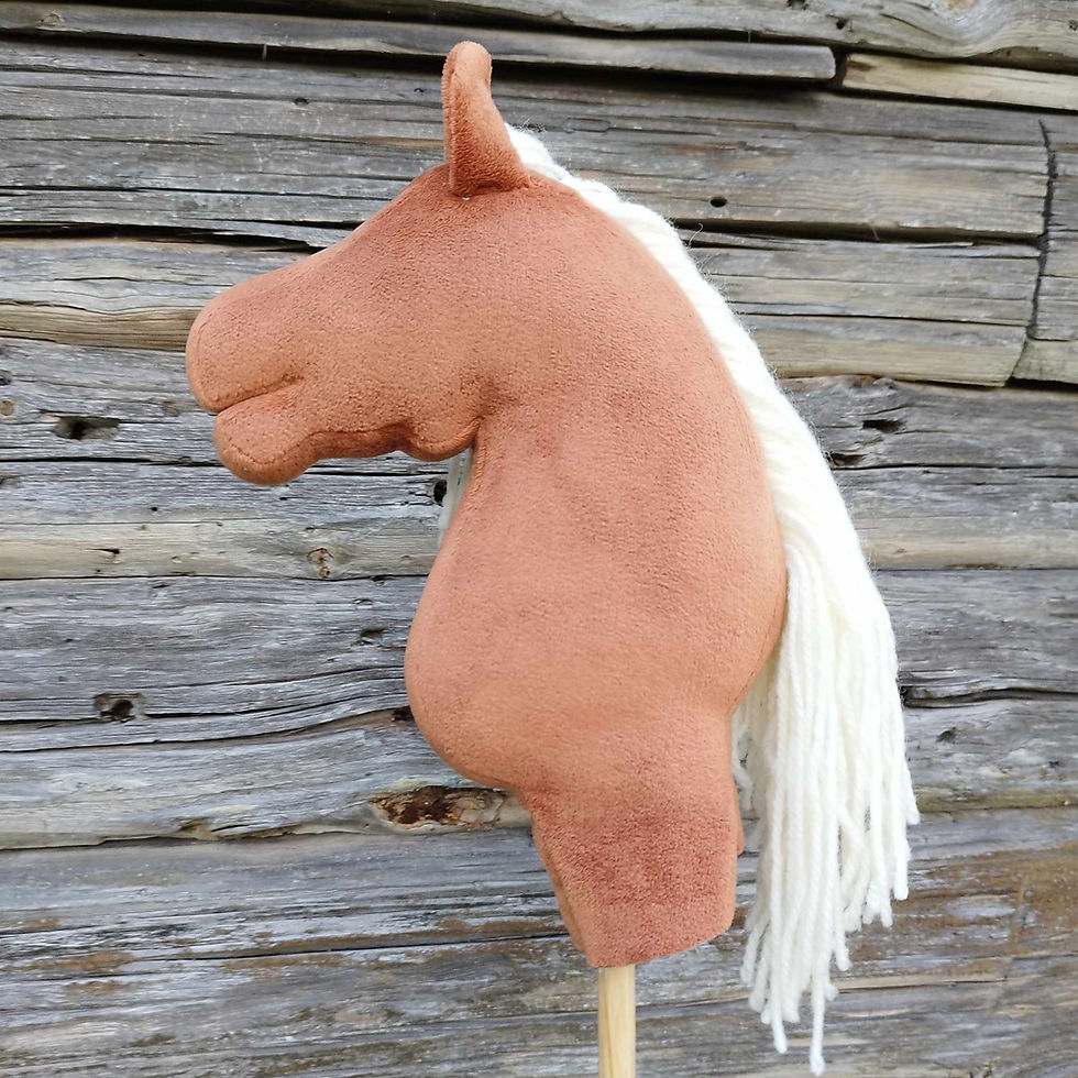 Pikkukuva: Ponipajan DIY, 2
