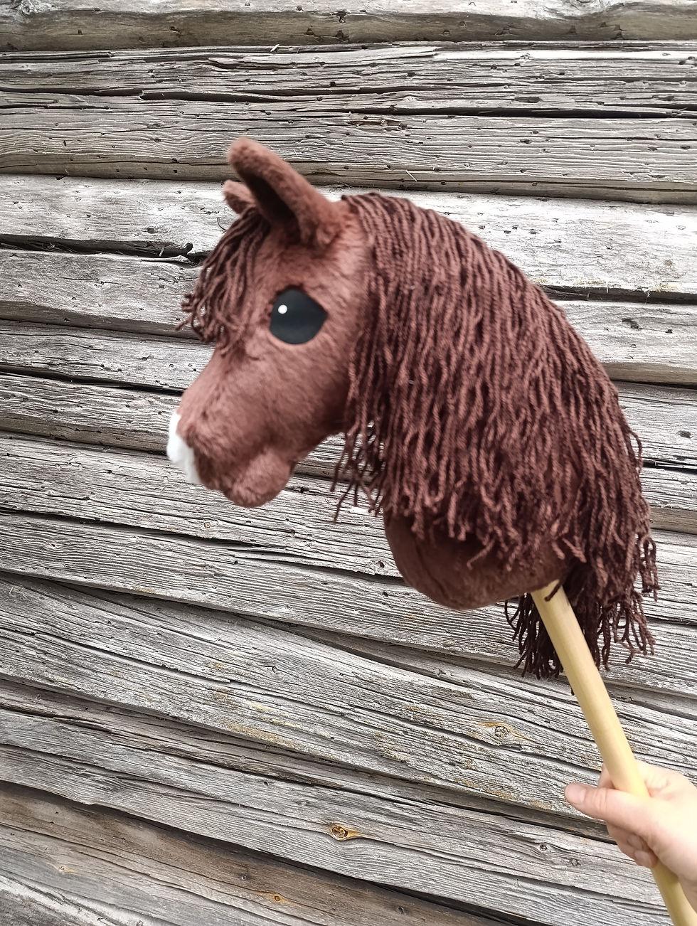 Pikkukuva: Keppihevonen pitkäkarvainen, L