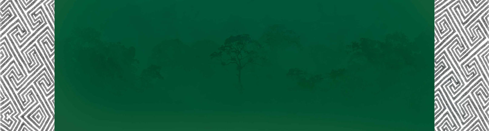 Website-element---graphismo-borders.jpg