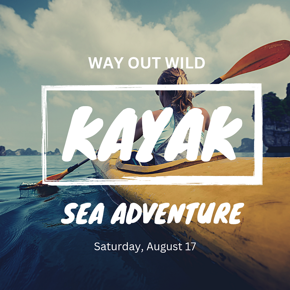 Women's Kayaking Summer Adventure