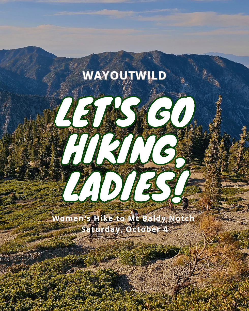 Women's Hike to Mt Baldy Notch via Bentleys Dream