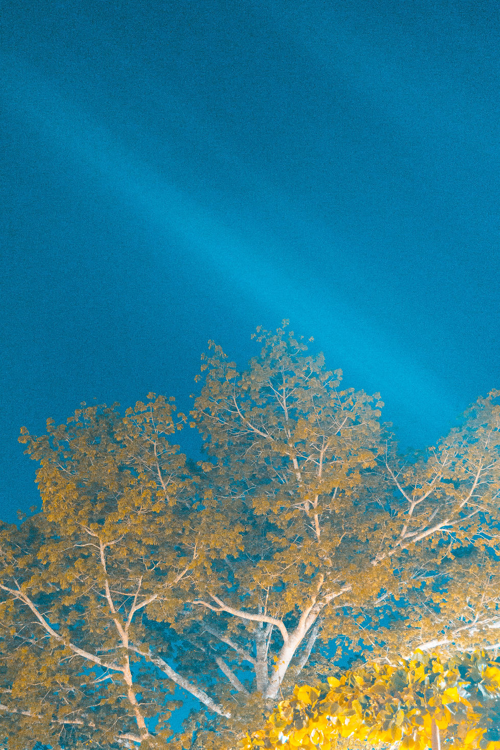 DSC_0017