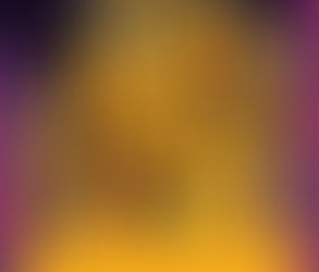 NFT de Soutien du Projet Battle for Legend (première édition)