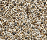 medium pebble dash.jpg