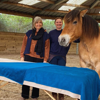 Soin Bioénergétique « Surrender » accompagné des chevaux : 7, 21 & 28 juillet à 13h30 et 15h
