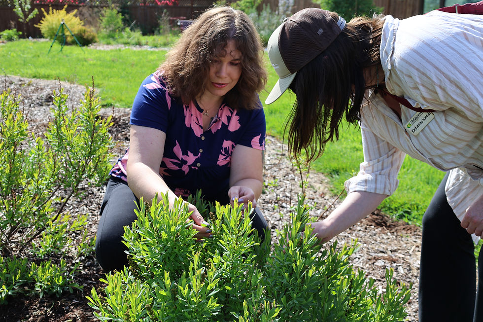 Two women inspect a plant in a yard.