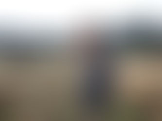 A woman stands in a sea of seedling protection tubes.