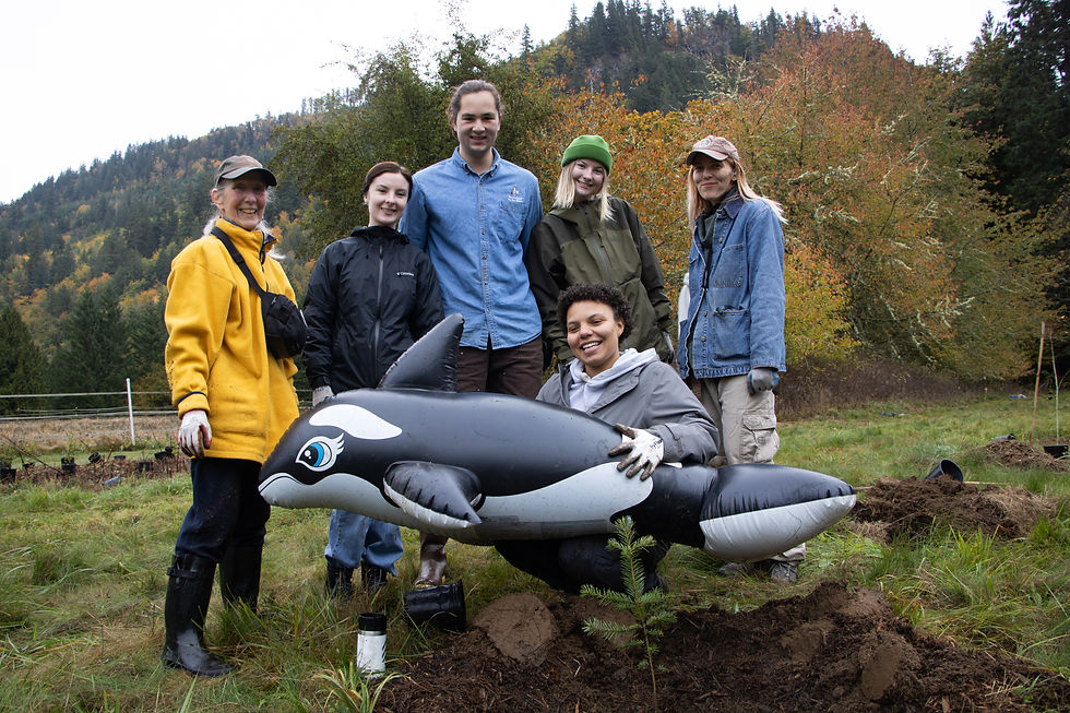 Six people stand next to a newly planted tree and hold an inflatable orca.