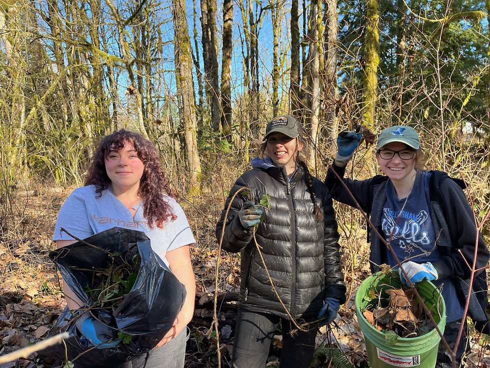 Schell Creek Cleanup