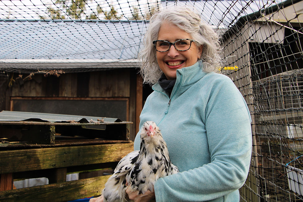 A woman holds a speckled chicken in her arms inside of a fence with a building in the background.