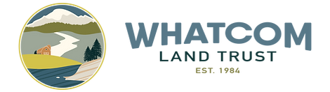 WLT_Primary_Horizontal_CMYK (1).png