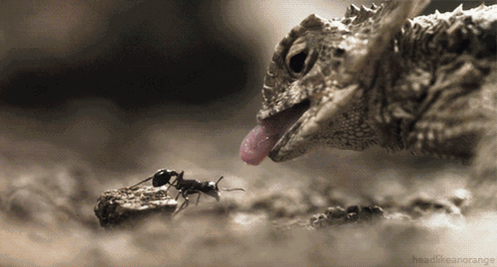 0000341951webp.gif