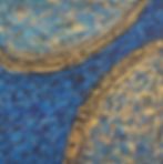 ¨Ciclos 5¨ 60x60