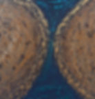 ¨Ciclos¨50x50