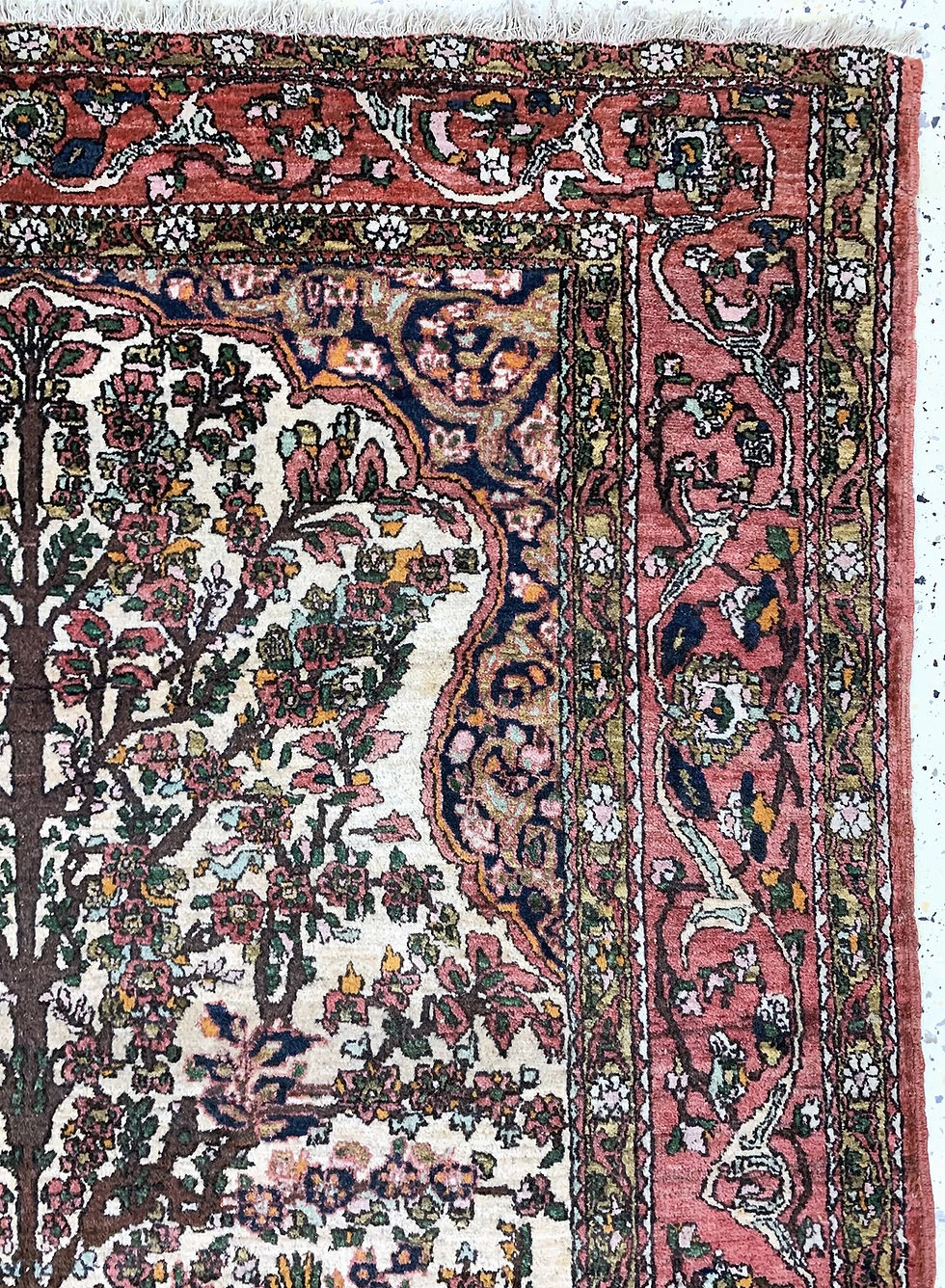 Thumbnail: アンティークのバクティアリ・ツリーラグ。アイボリー地に生命の樹と花咲く樹木が左右対称に描かれ、ローズレッドの花唐草文様ボーダーで縁取られた、1900年頃ペルシャ製のウール・オン・コットンラグ。