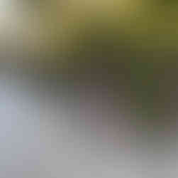 Peyzaj çalışmalarımız 8