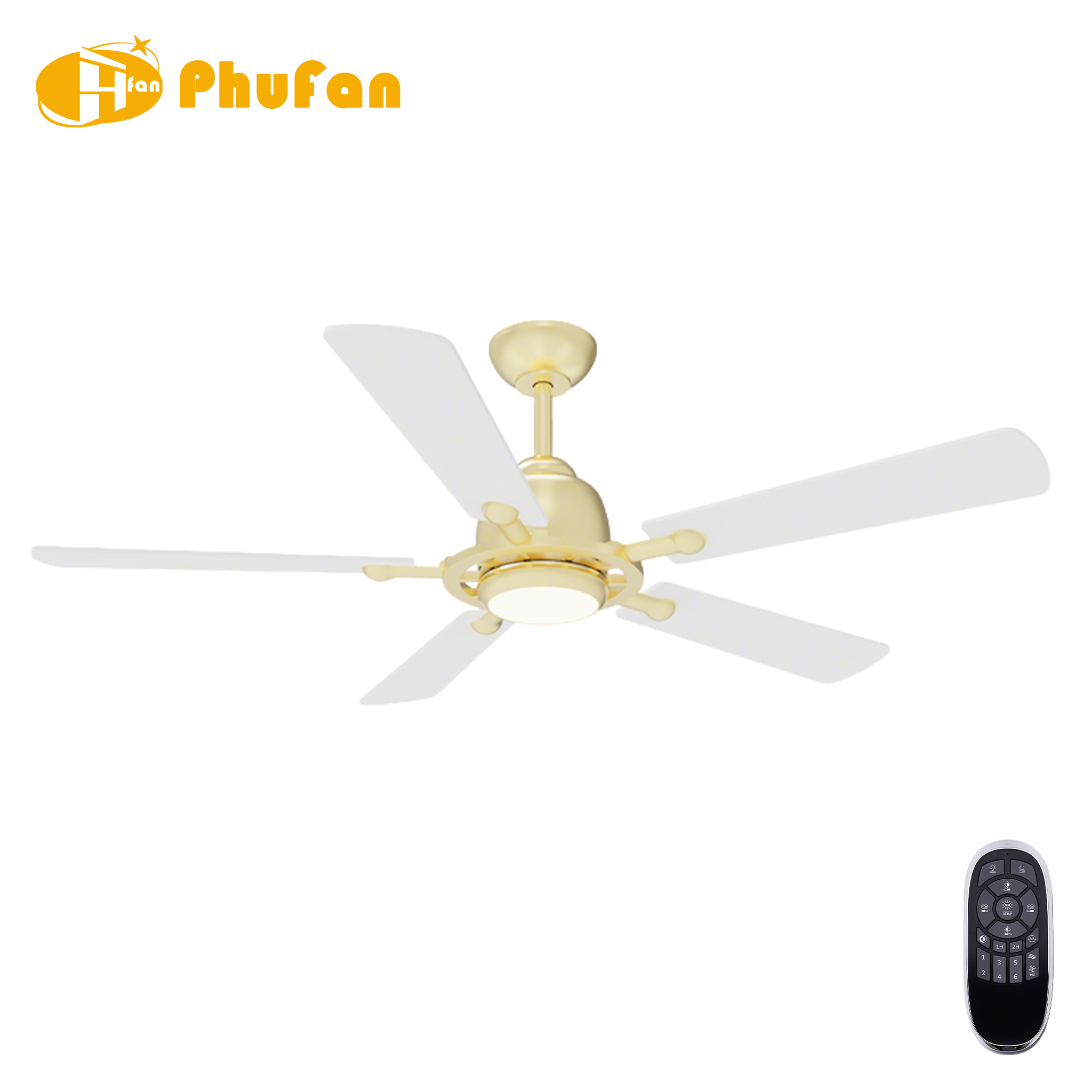 5 Blade Ceiling Fan Light Remote Silent Reversible BLDC Motor For Bedroom