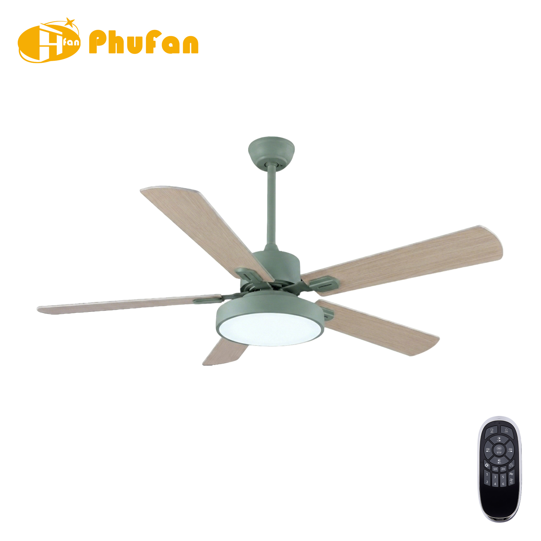 5 Blade Ceiling Fan Light Remote Silent Reversible BLDC Motor, Minimalist Fan