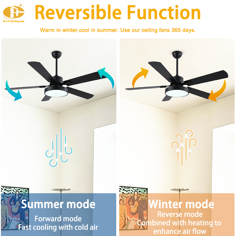 Miniatura: 5 Blade Ceiling Fan Light Remote Silent Reversible BLDC Motor, Minimalist Fan