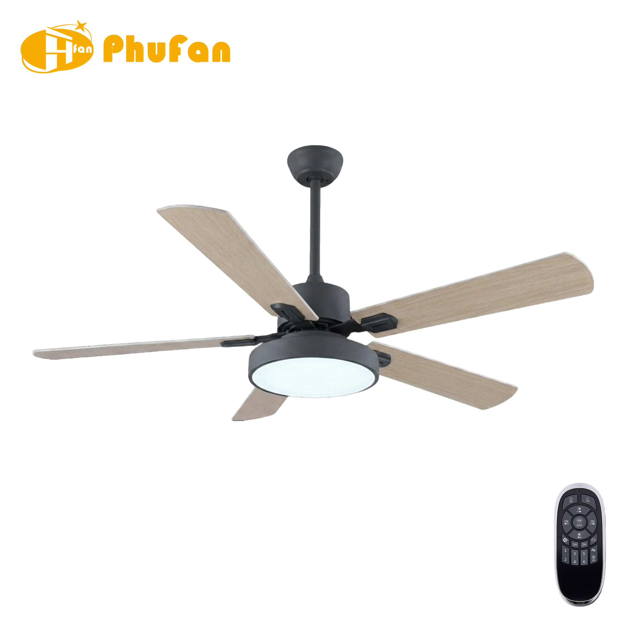 5 Blade Ceiling Fan Light Remote Silent Reversible BLDC Motor, Minimalist Fan