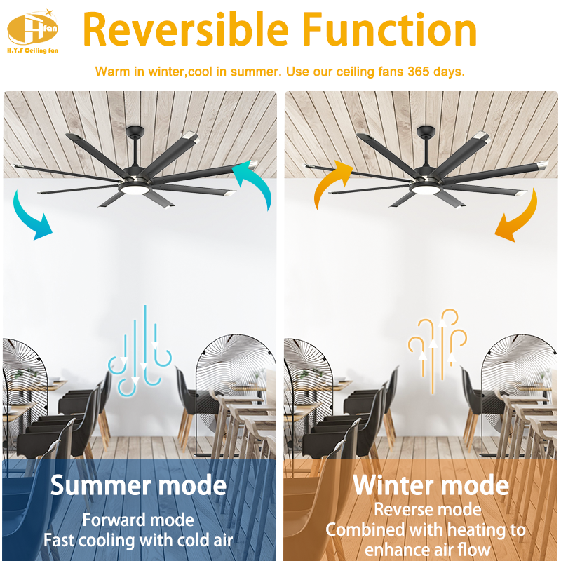 Large Ceiling Fan with Light - 8 Black Blades with Silver Tips