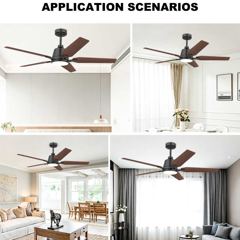 Modern Ceiling Fan with Light Full Function Remote Control For Living Room