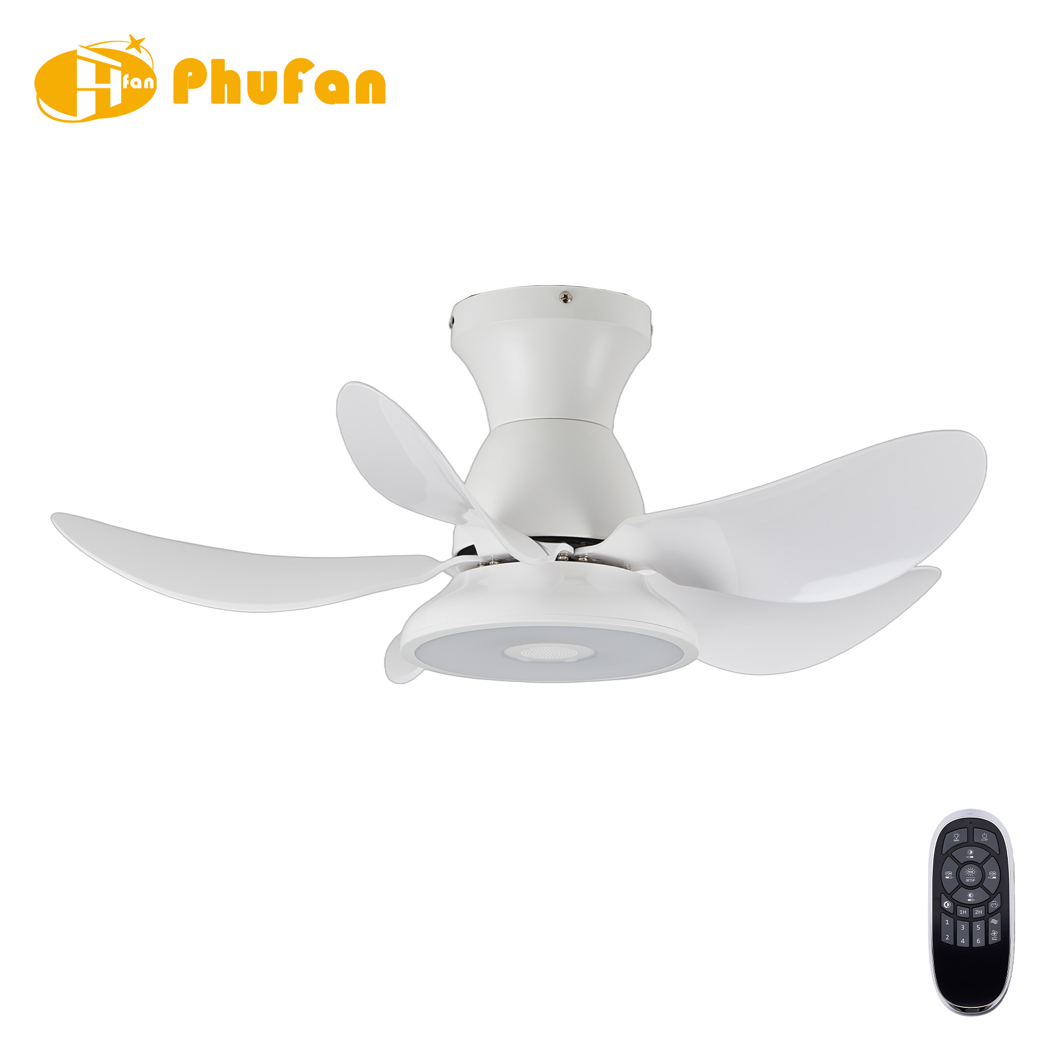 Flush Mount 5 Blade RGB Ceiling Fan Light With Bluetooth Speaker For Bedroom