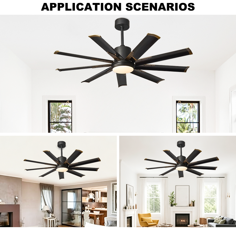 Large Black Ceiling Fan with Light - 9 Blades with Gold Tips