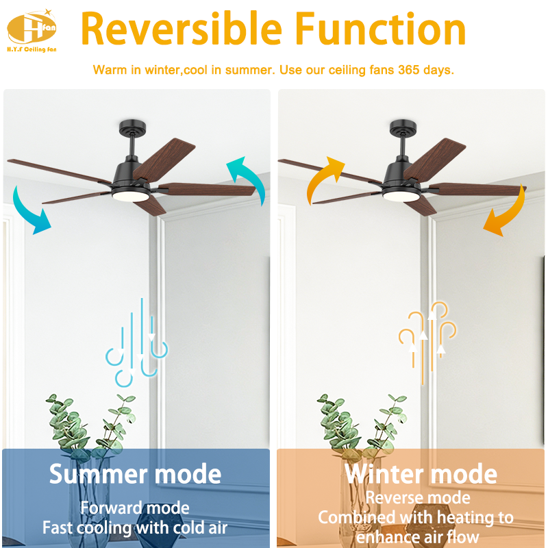 Modern Ceiling Fan with Light Full Function Remote Control For Living Room