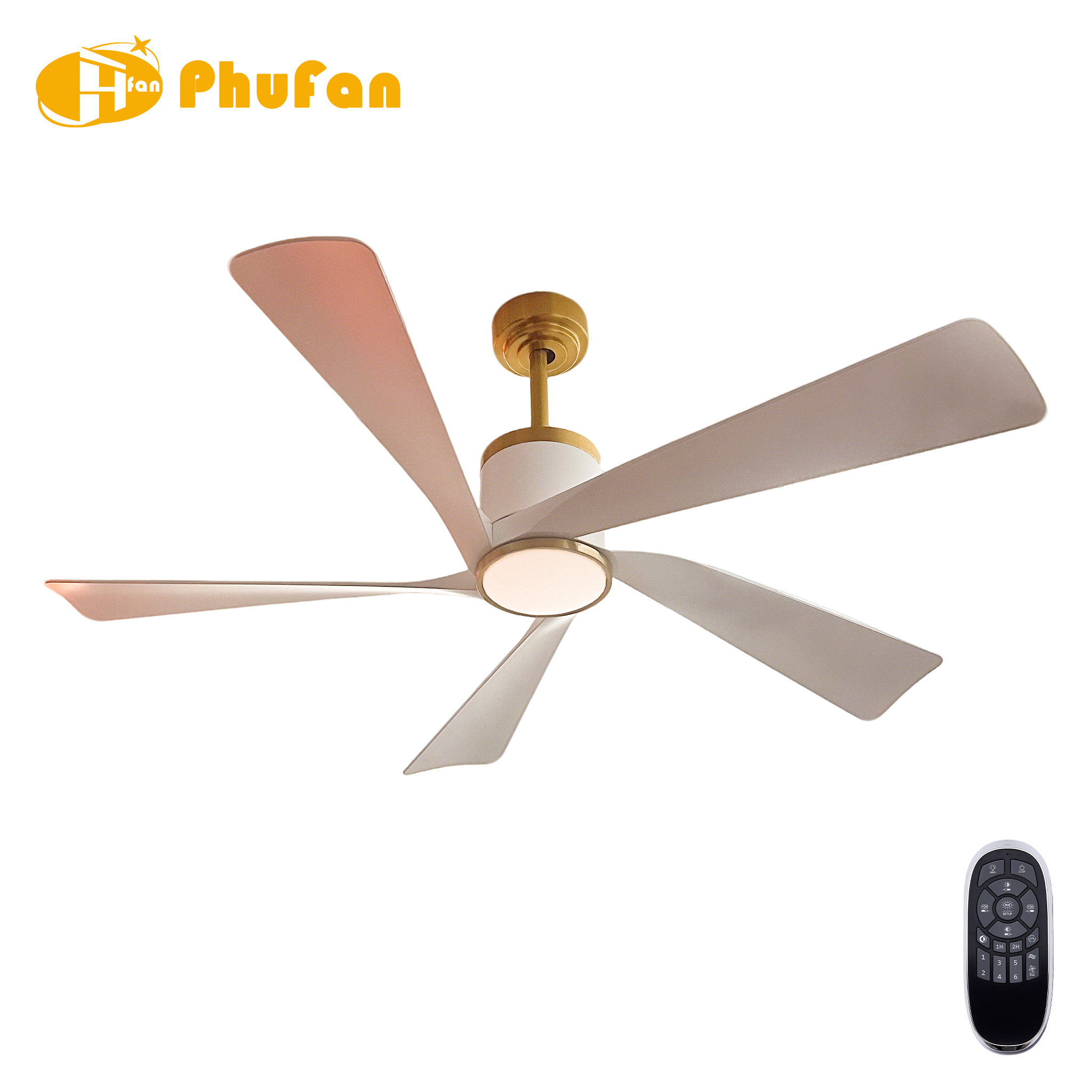 5 Smooth Curved Blade Ceiling Fan Light Remote Silent Reversible BLDC Motor