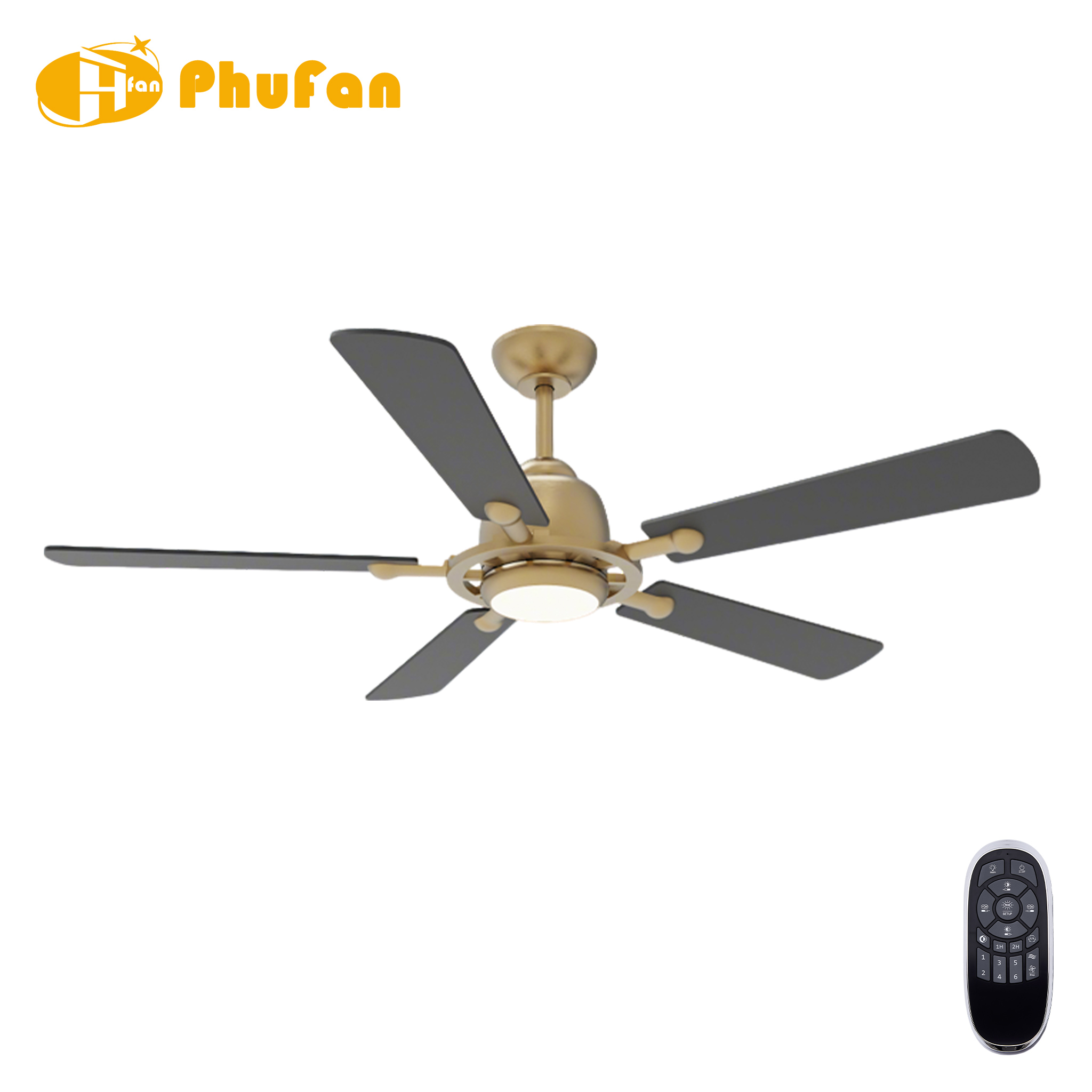 5 Blade Ceiling Fan Light Remote Silent Reversible BLDC Motor For Bedroom
