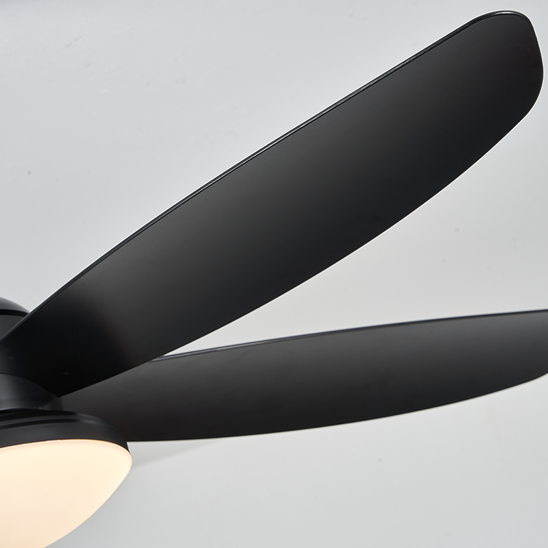 Compact Matte Black Ceiling Fan with Light - ABS Blades