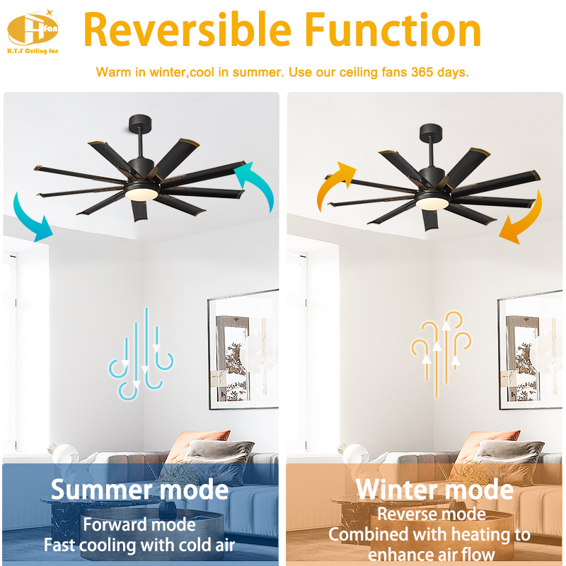 Large Black Ceiling Fan with Light - 9 Blades with Gold Tips