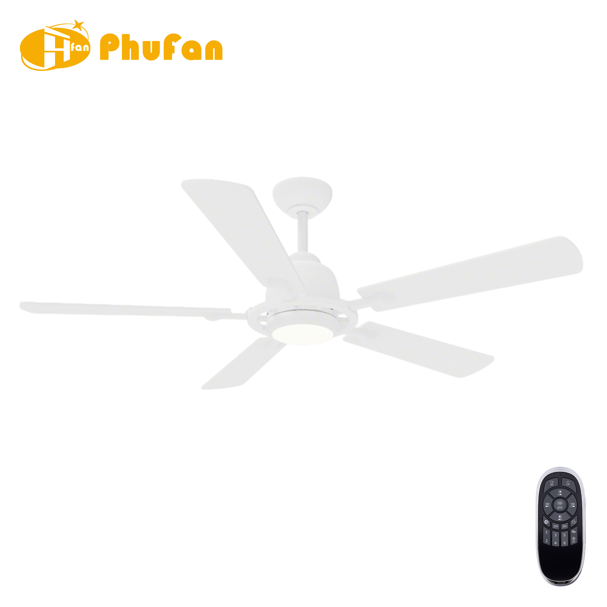 5 Blade Ceiling Fan Light Remote Silent Reversible BLDC Motor For Bedroom
