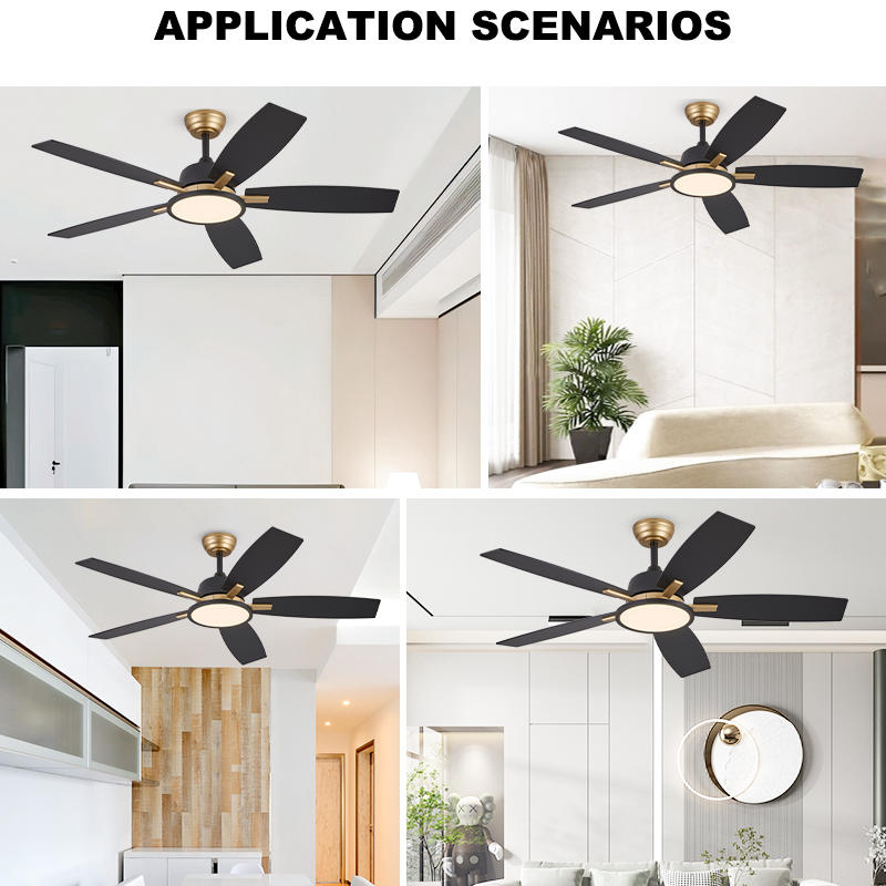 Luxury Decor Ceiling Fan Lamp Forward & Reverse Airflow for Cafe Villa Entryway