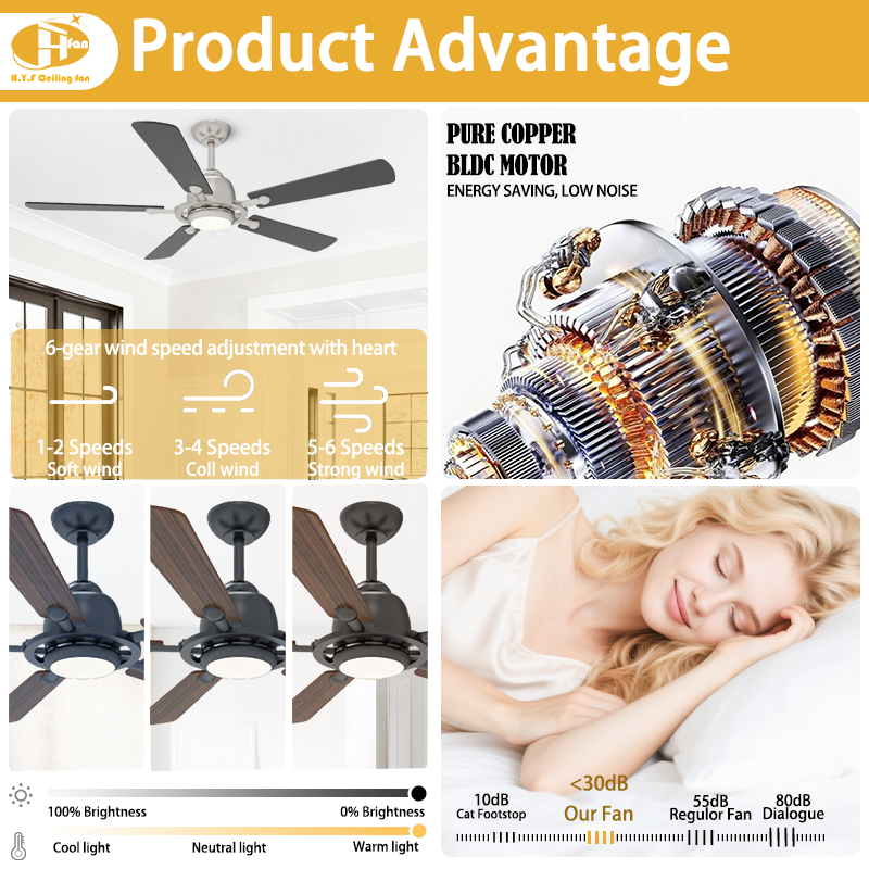 5 Blade Ceiling Fan Light Remote Silent Reversible BLDC Motor For Bedroom