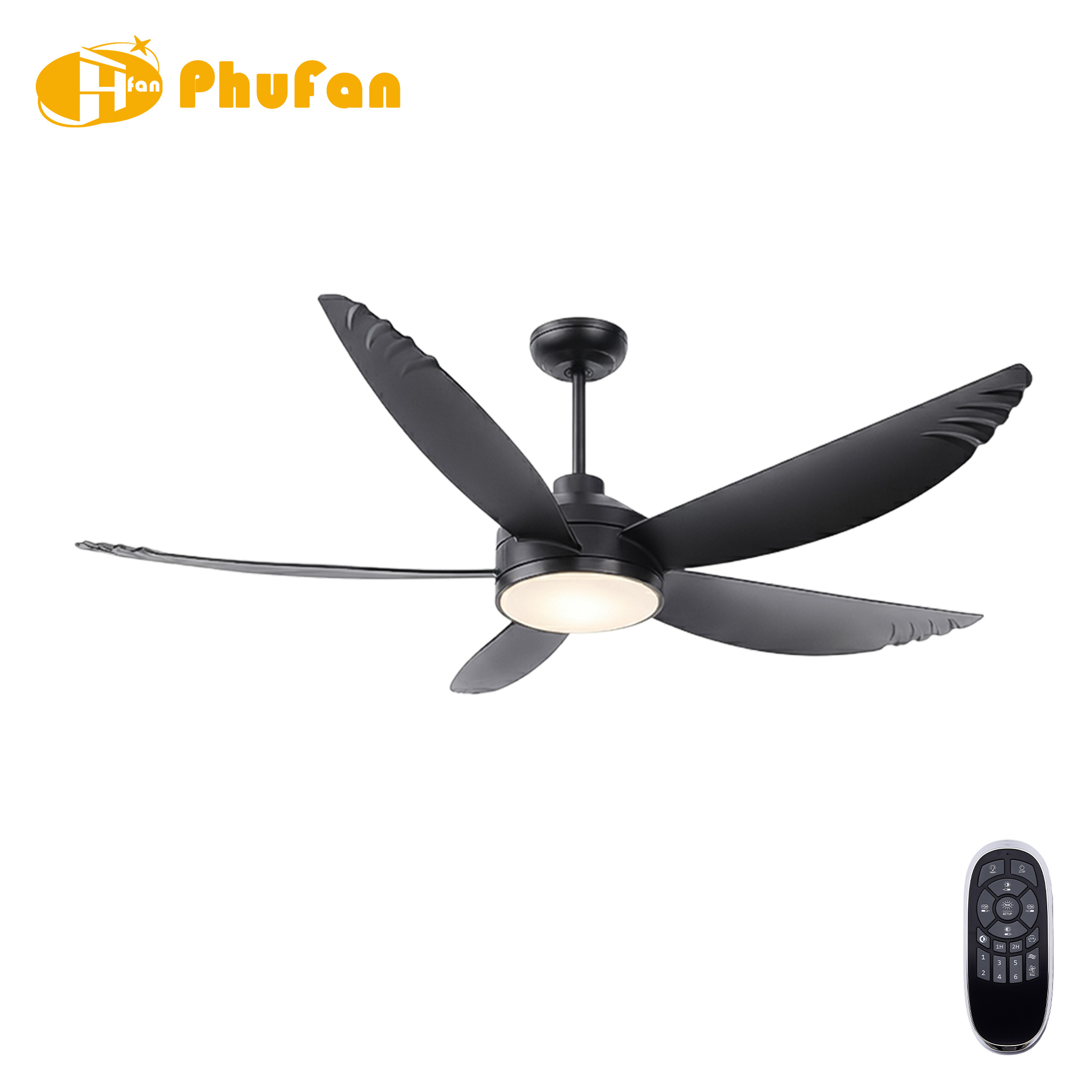 All-black fan light with five scalloped ABS blades, shown on a white background with its handheld remote.