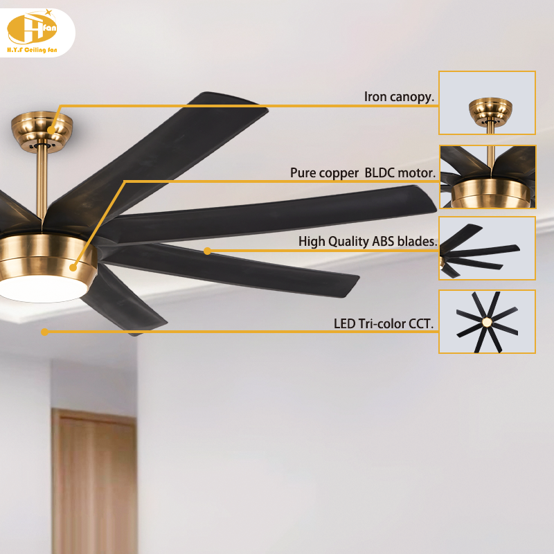 Ceiling Fan with Light 8 ABS Blades DC Motor for Villa High Ceiling Living Room