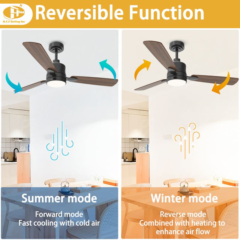 Mini ceiling fan with light and DC motor, shown in a diagram comparing summer and winter airflow.