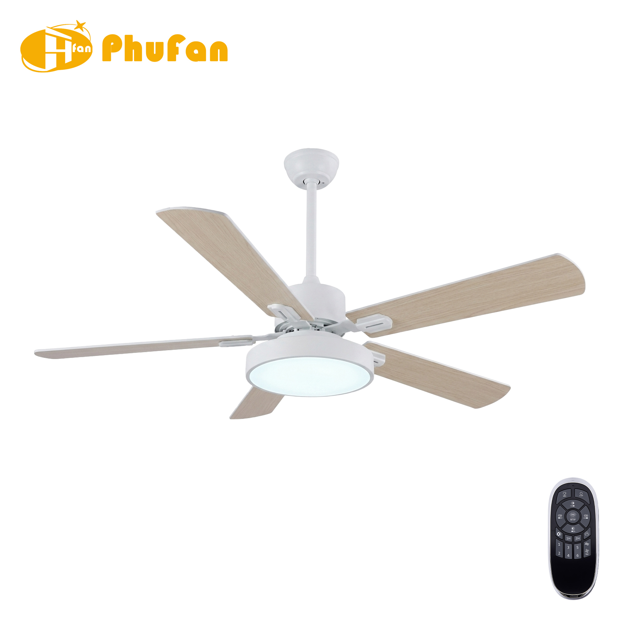5 Blade Ceiling Fan Light Remote Silent Reversible BLDC Motor, Minimalist Fan