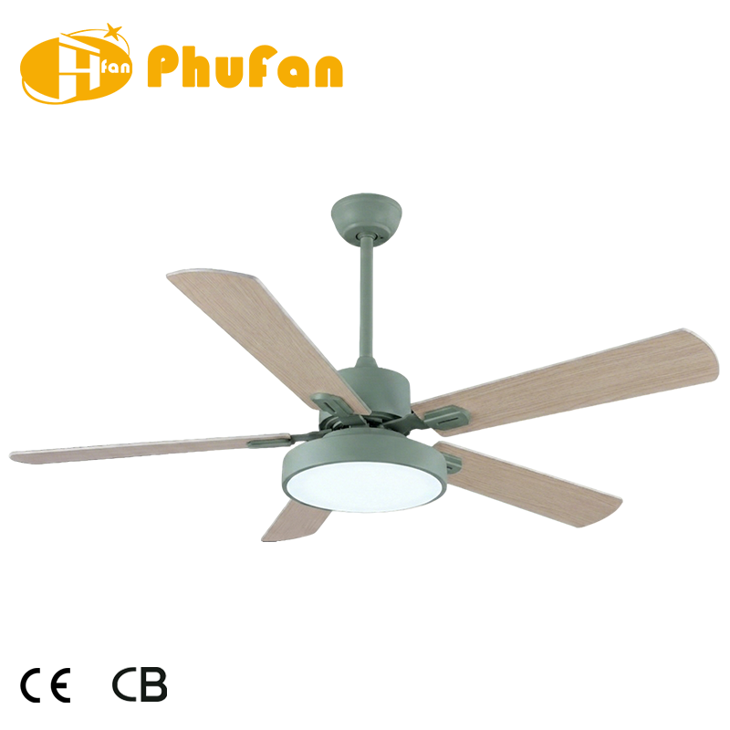 Miniatura: 5 Blade Ceiling Fan Light Remote Silent Reversible BLDC Motor, Minimalist Fan