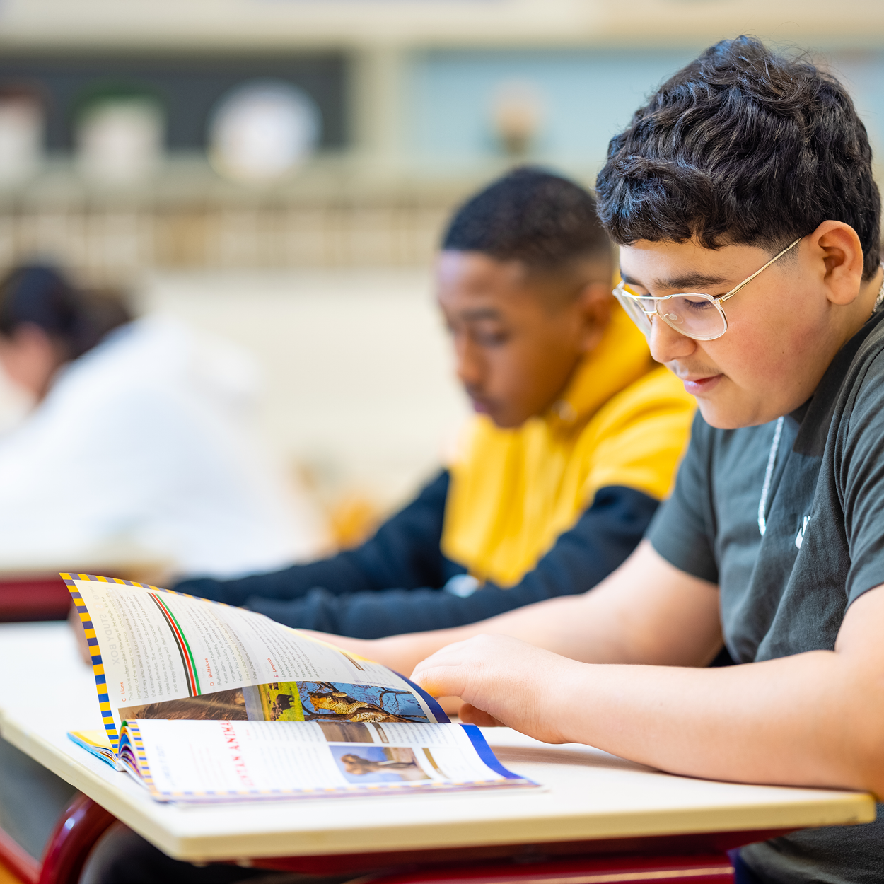 INCLUSIE & ONDERWIJS